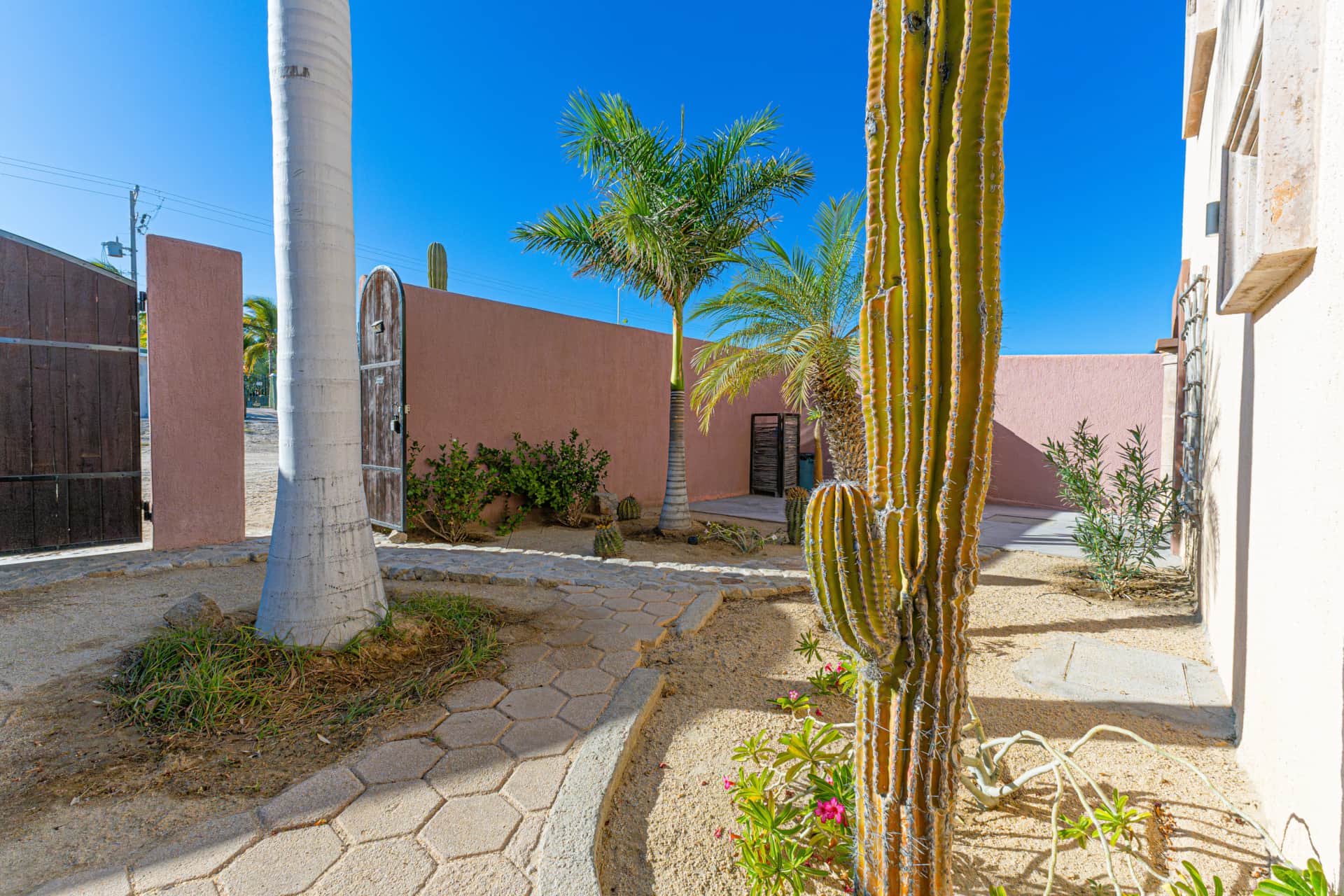 Casa Oasis photo 5