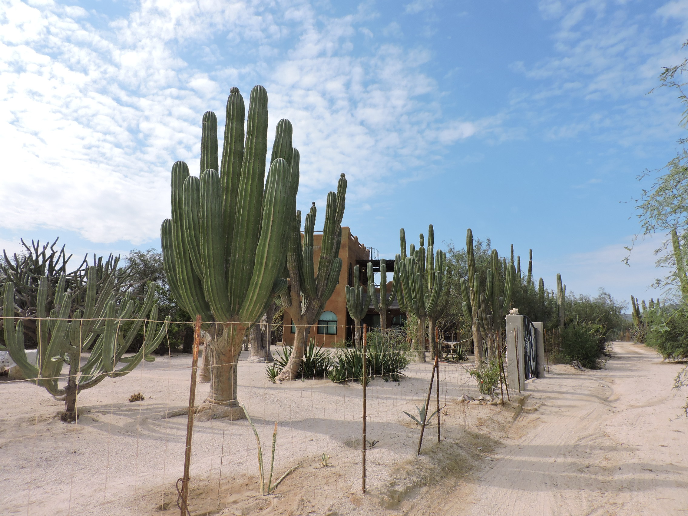 Casa Susanne photo 11