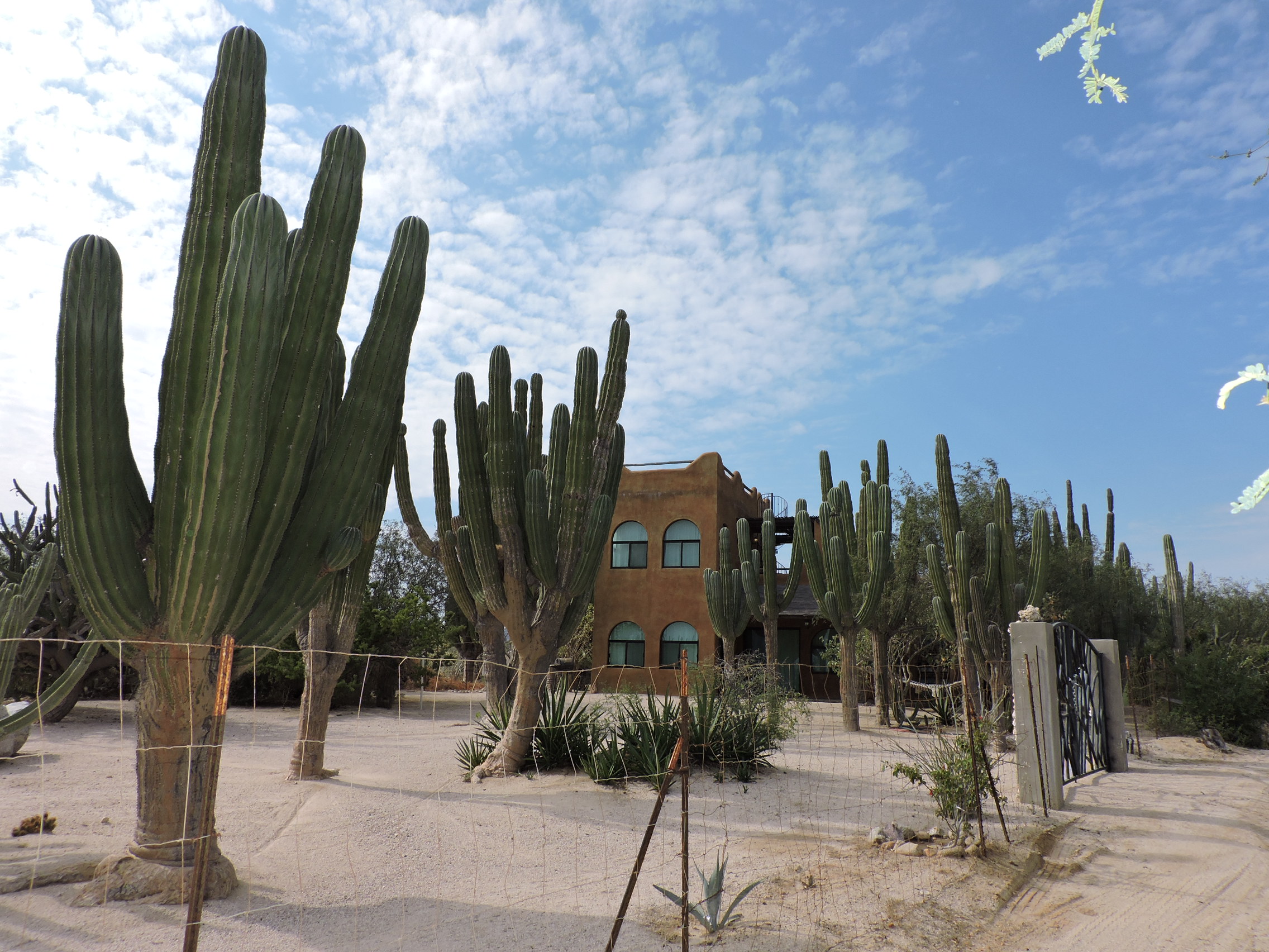 Casa Susanne photo 12