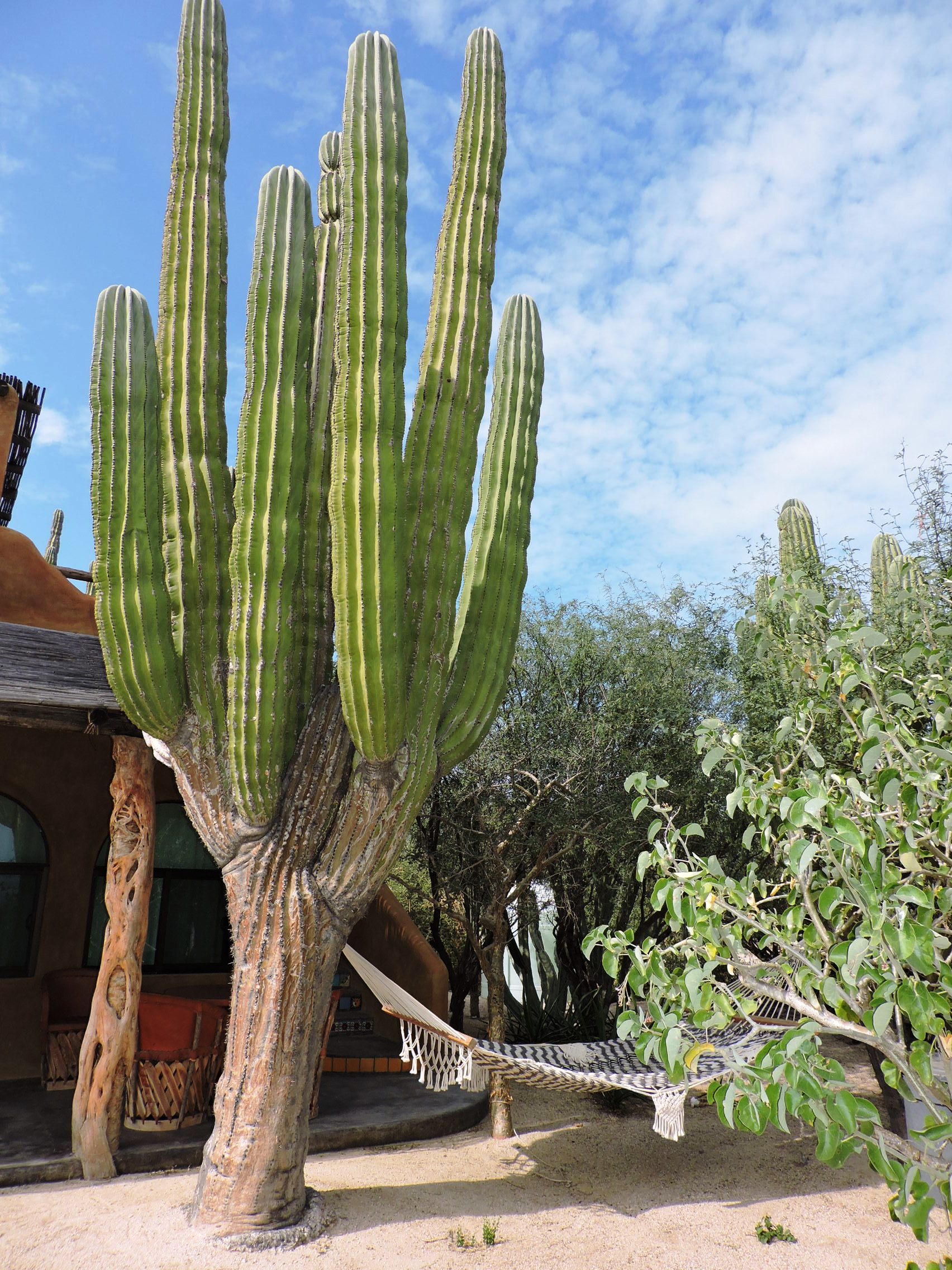 Casa Susanne photo 14
