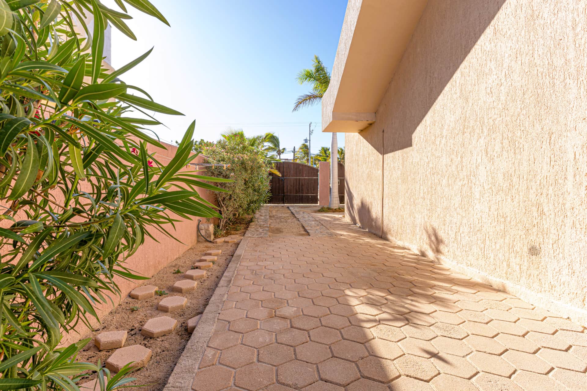 Casa Oasis photo 9
