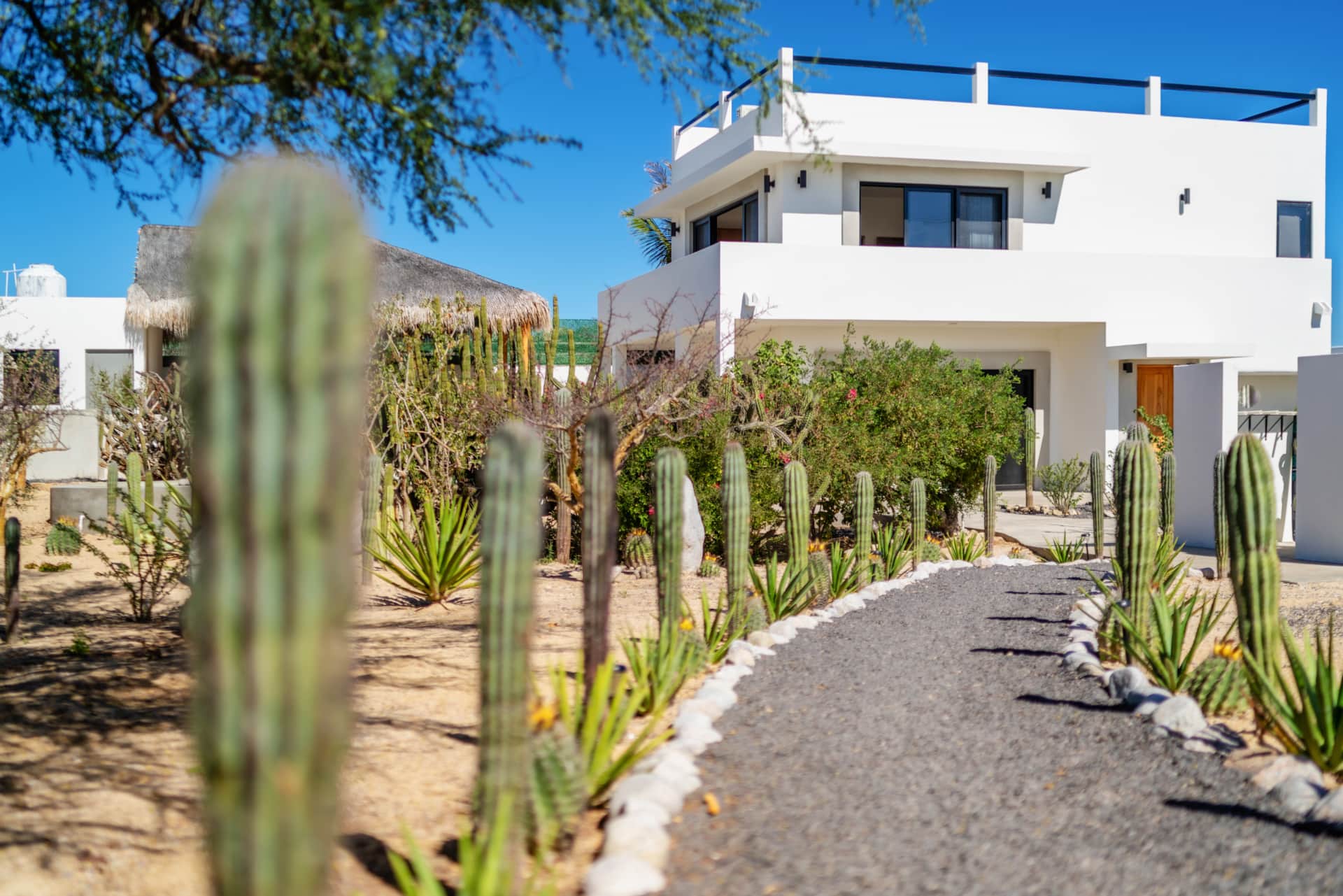 Casa Pitaya photo 2