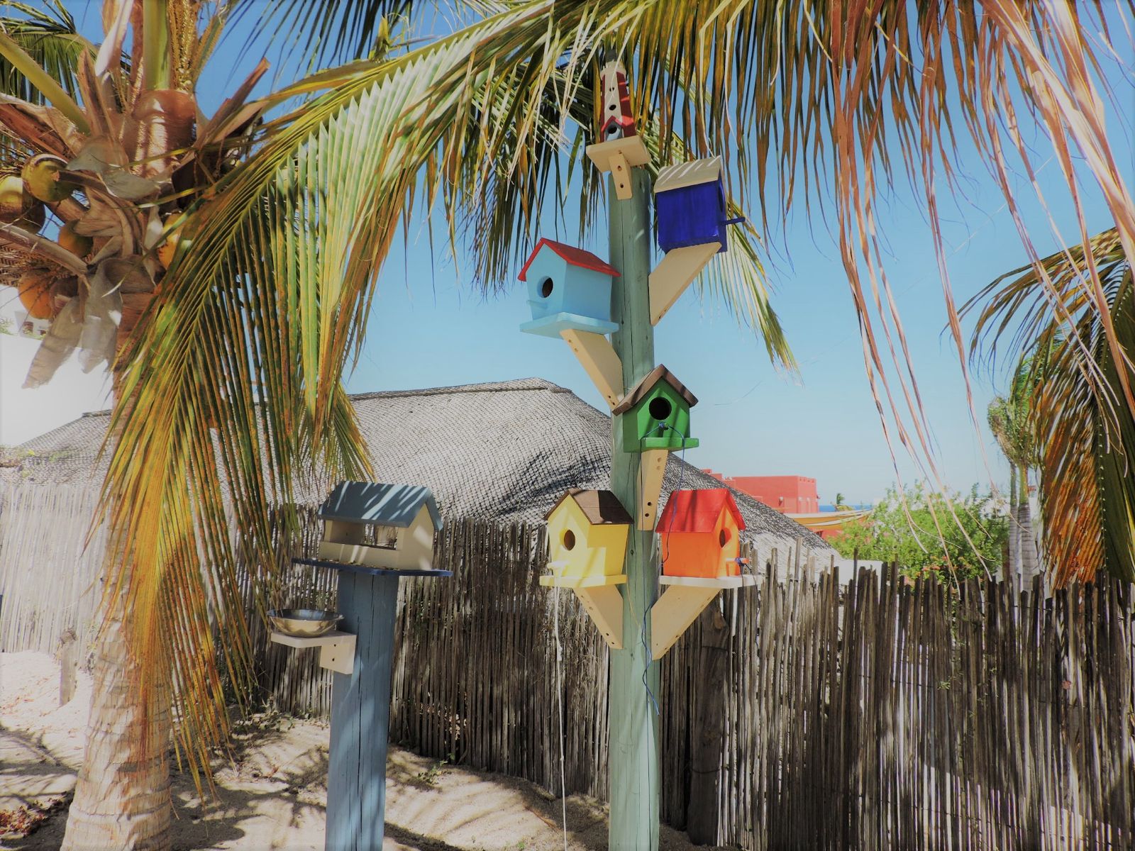 Casa Maria photo 17