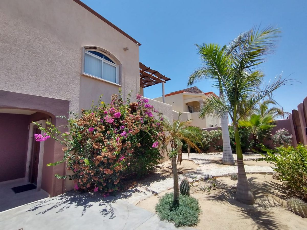 Casa Oasis photo 4