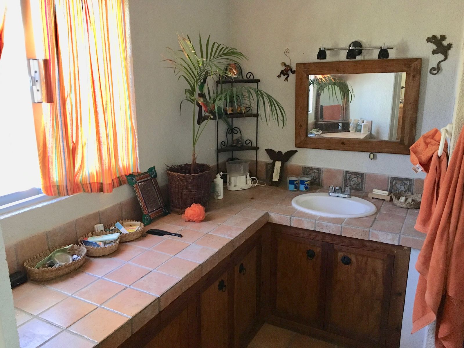 Don Carlitos Casa photo 7