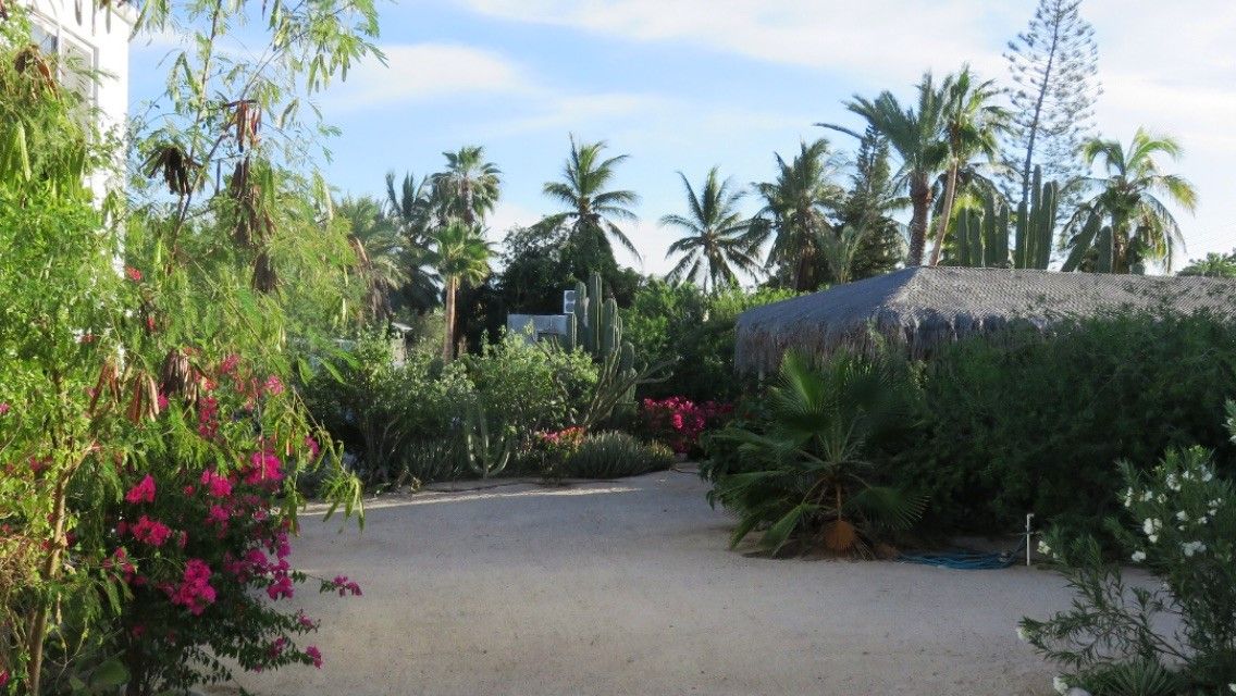 Upper Casita at Don Carlitos photo 7